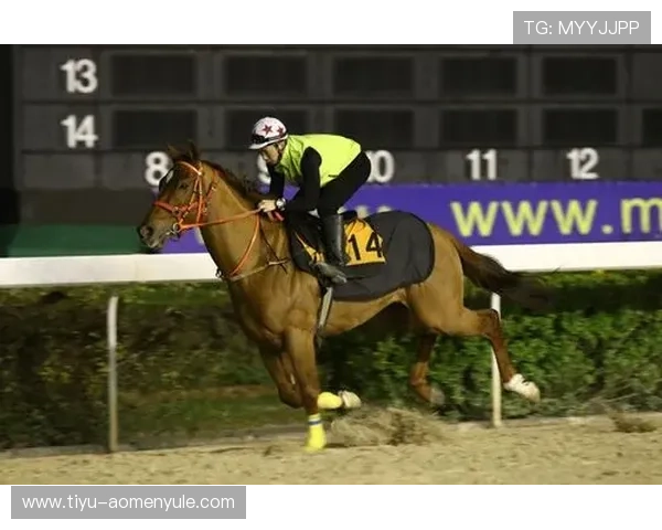 澳门赛马日程表2024年度赛事时间安排,详细介绍每场比赛的时间节点和赛事特色 澳门赛马日程表2024年度赛事时间安排,详细介绍每场比赛的时间节点和赛事特色