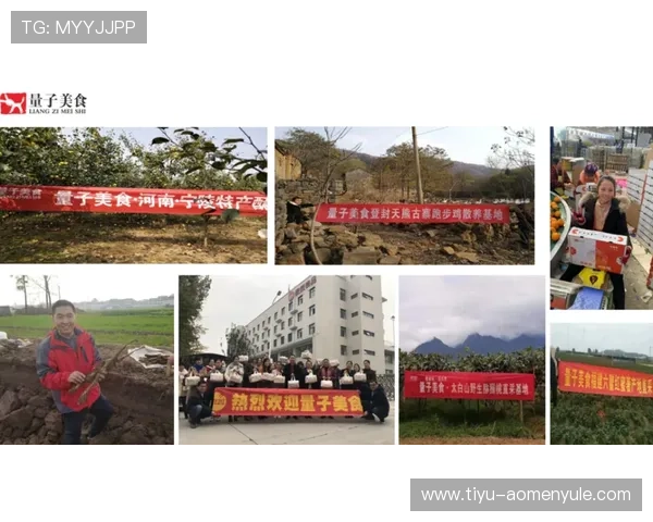 七星真人版全站登录合作推广活动多重福利促使更多用户体验登录优势丰富奖励机制 七星真人版全站登录合作推广活动多重福利促使更多用户体验登录优势丰富奖励机制